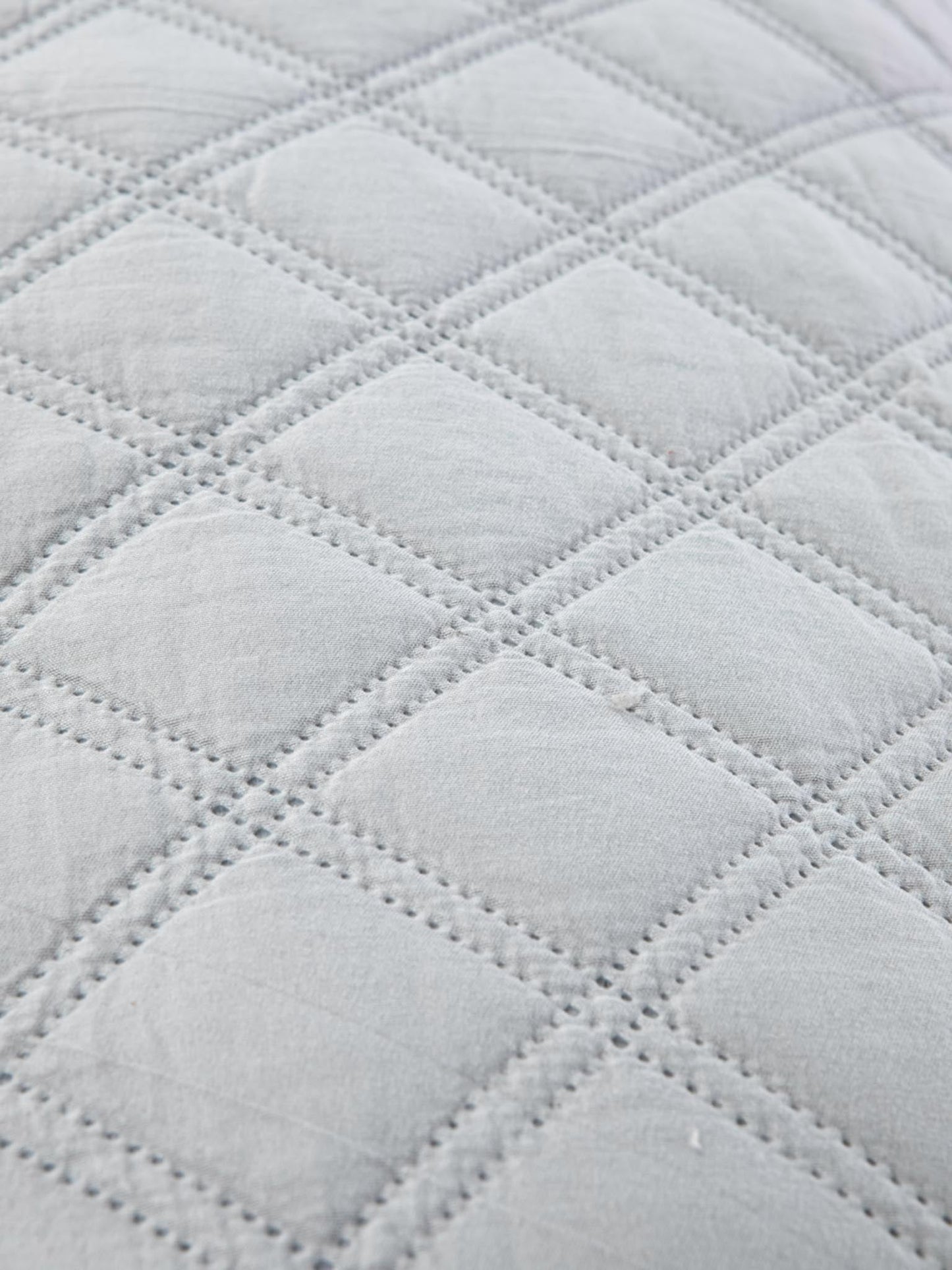 Leno Rectangular Throw Pillow